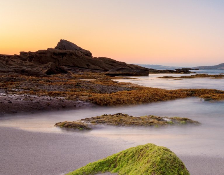 Un viaje a las Rías Altas: mar y naturaleza gallega