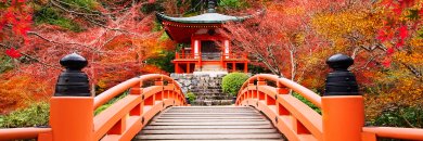 Tu próximo viaje es Japón: descubre el destino más fascinante de Asia