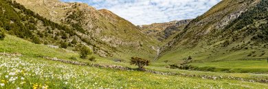 Experiencia de altura en Canillo: tu hotel 4* en Andorra