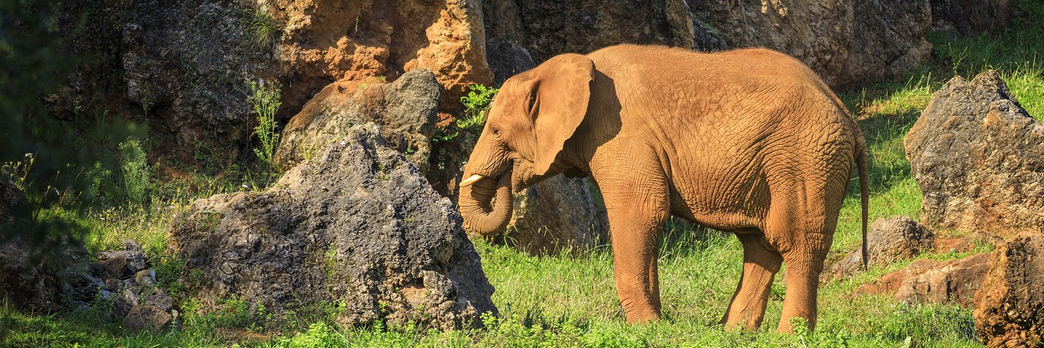 Parque de Cabárceno + hotel con piscina termal ¡la escapada más animal!