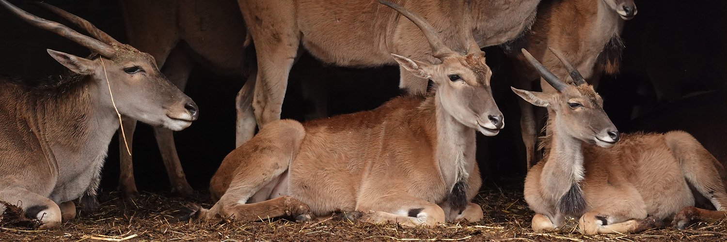 ¡Cantabria te llama! Escapada en plena naturaleza con opción a Cabárceno