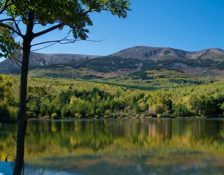 A las puertas del Moncayo: disfruta de Ólvega al mejor precio