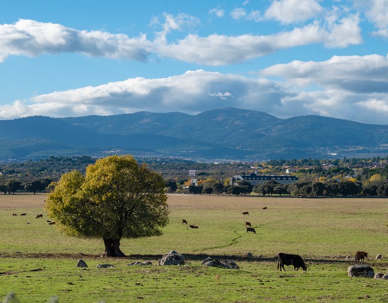 El lado más verde de Madrid: verano en la Sierra de Guadarrama