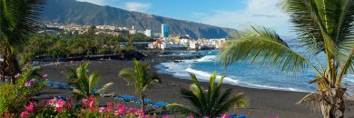 Tenerife norte: costa, palmeras y rincones de película