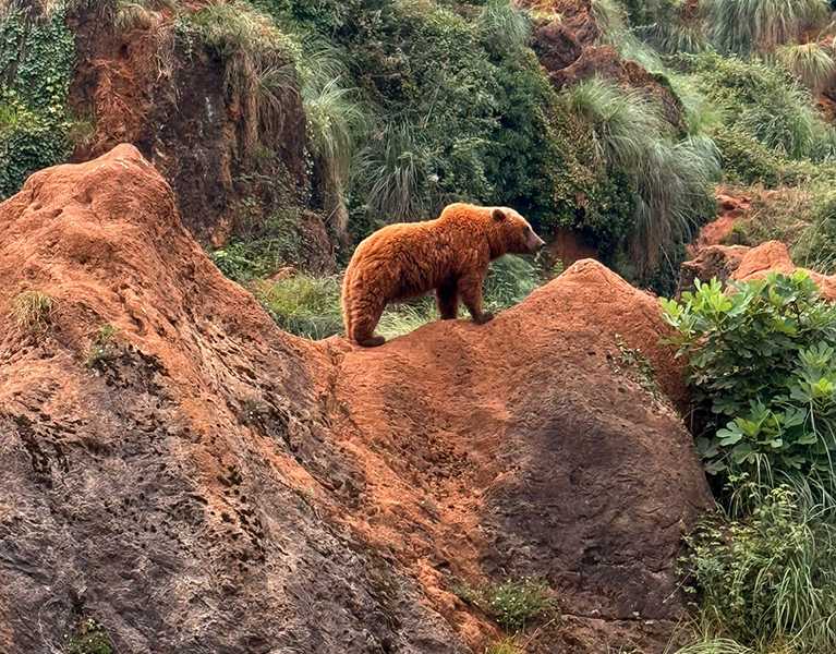 ¡Cantabria salvaje! Escapada rural con opción a Cabárceno   