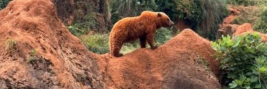 ¡Cantabria salvaje! Escapada rural con opción a Cabárceno   