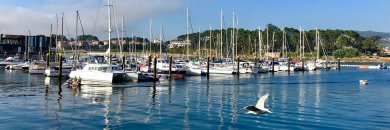 Sanxenxo: alójate a 100m del mar y con crucero por la Ría de Arosa