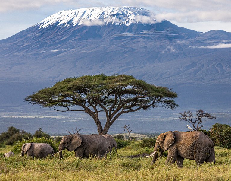 Kenia al completo: safari salvaje y playas paradisíacas con vuelos incluidos