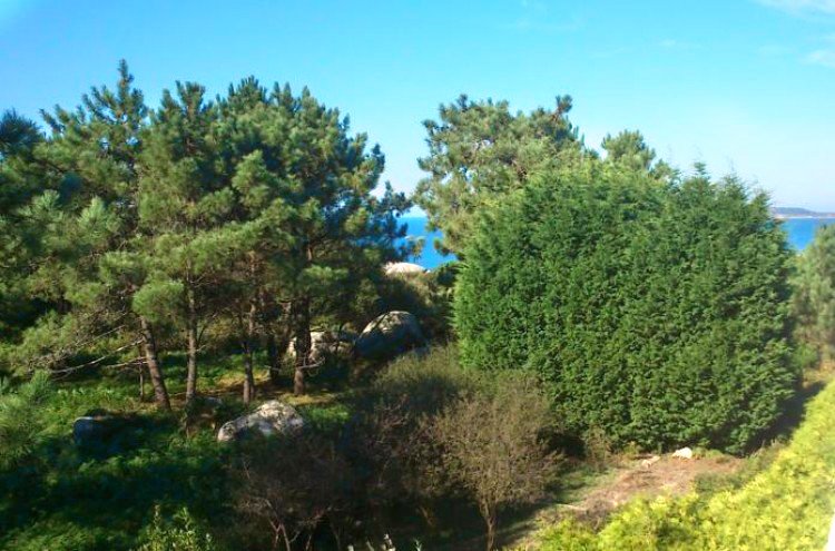 Vive el encanto marinero de O Grove (Galicia) - Destino