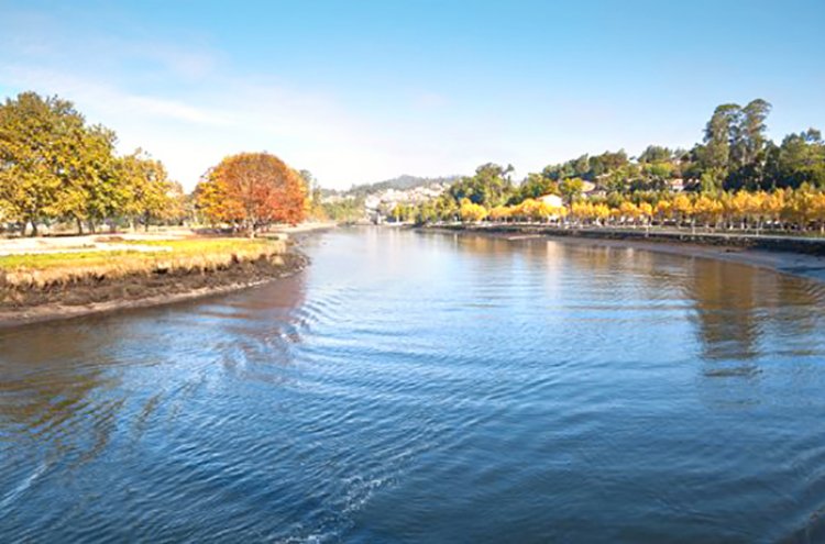 Vive el encanto marinero de O Grove (Galicia) - Destino