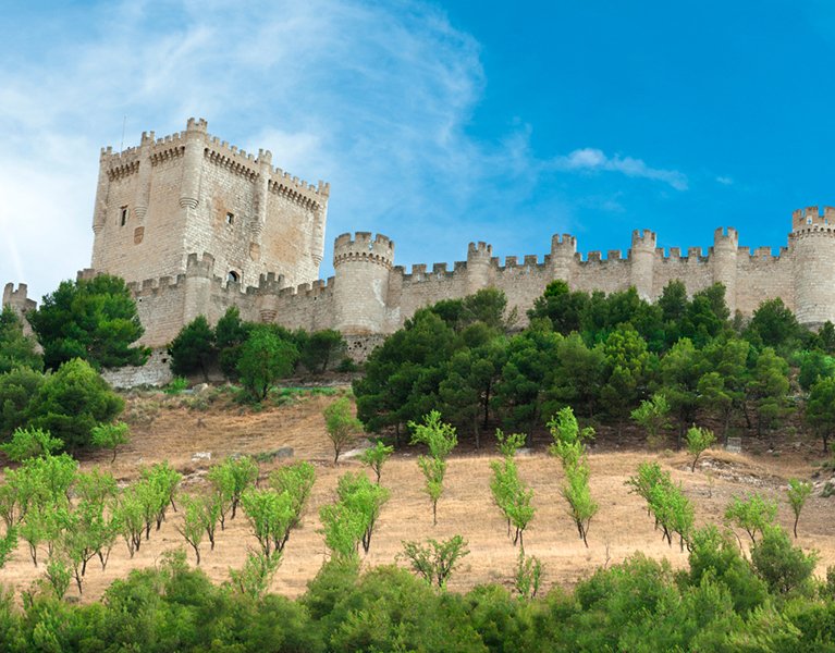 Escapada con sabor a Ribera del Duero: hotel 4* con spa en Peñafiel