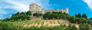 Escapada con sabor a Ribera del Duero: hotel 4* con spa en Peñafiel