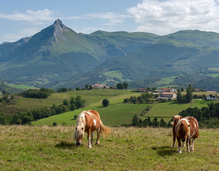 Descubre el encanto único del País Vasco en Guipúzcoa