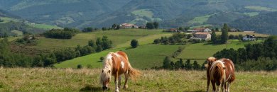 Descubre el encanto único del País Vasco en Guipúzcoa