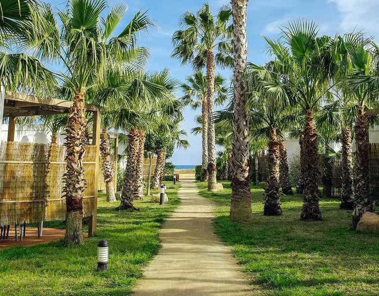 Tu refugio ideal en el Mediterráneo ¡Mucho más que un camping!