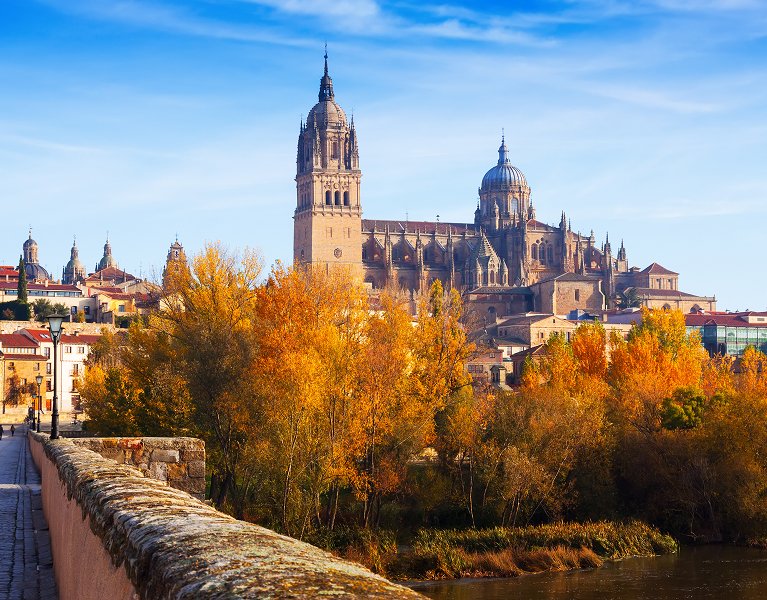 Salamanca a tu ritmo: estancia en Hotel 3* y desayuno incluido