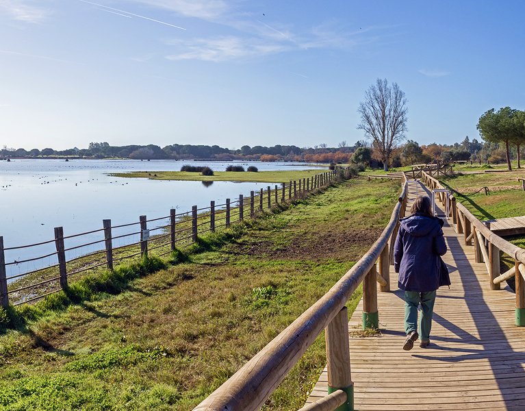 ¡Siente Doñana! Un paraíso natural único 