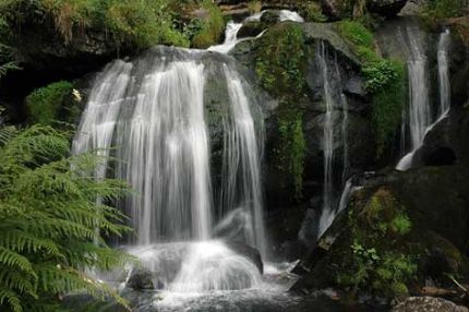Semana en La Selva Negra (Alemania)