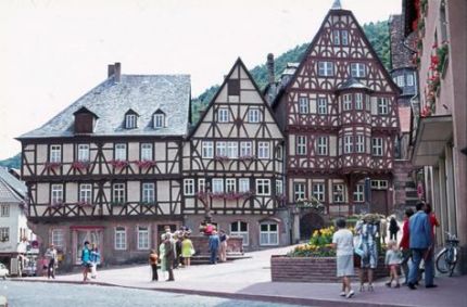 Semana en La Selva Negra (Alemania)