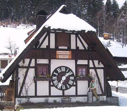 Semana en La Selva Negra (Alemania)