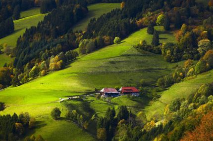 Semana en La Selva Negra (Alemania)