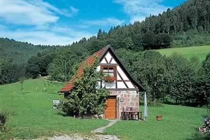 Semana en La Selva Negra (Alemania)
