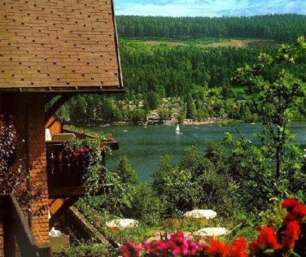 Semana en La Selva Negra (Alemania) - Destino