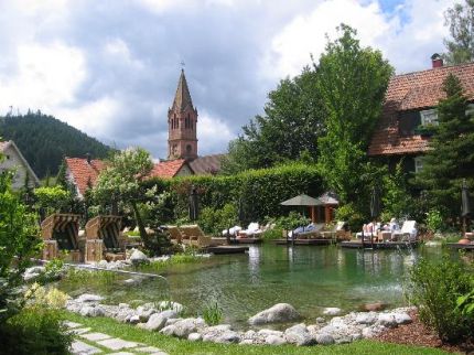 Semana en La Selva Negra (Alemania) - Destino