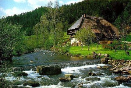 Semana en La Selva Negra (Alemania) - Destino
