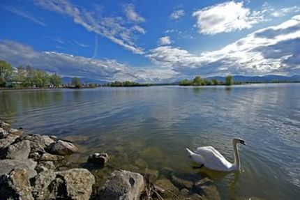 Semana en La Selva Negra (Alemania) - Destino