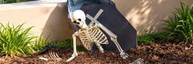 ¡Un Halloween de miedo en Ibiza! Hotel tematizado y diversión para toda la familia