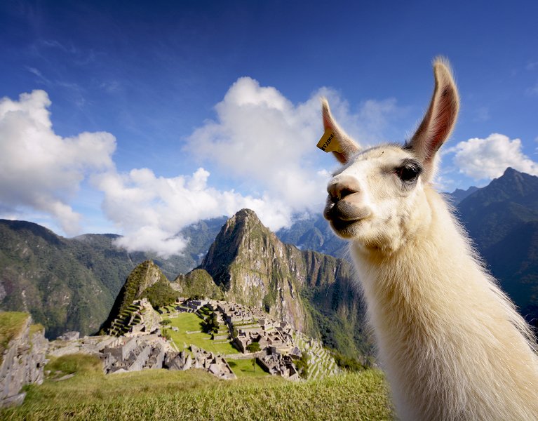 Perú, tierra de incas: un viaje inolvidable hasta Machu Picchu ¡Vuelos incluidos! 