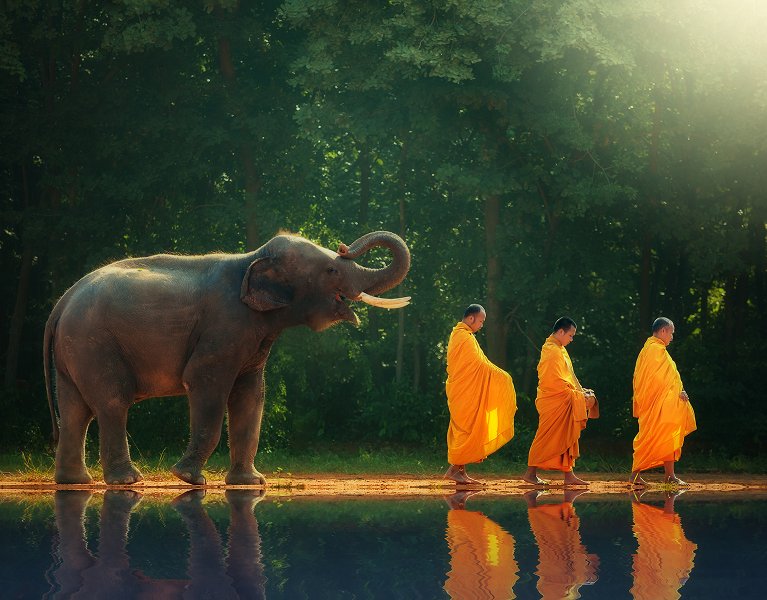 Experiencia Tailandia: de Bangkok a la selva sagrada de Chiang Mai ¡Con vuelos!