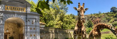 Sumérgete en Cantabria y regálate un respiro termal