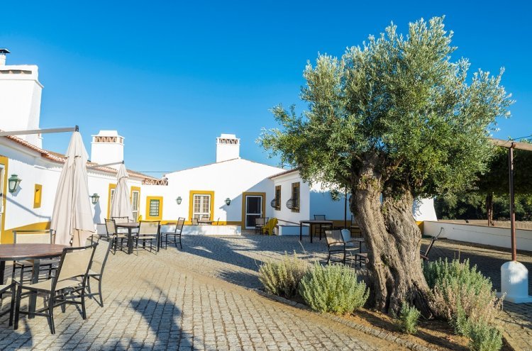 Descubre Évora: la joya del Alentejo en Portugal - Destino
