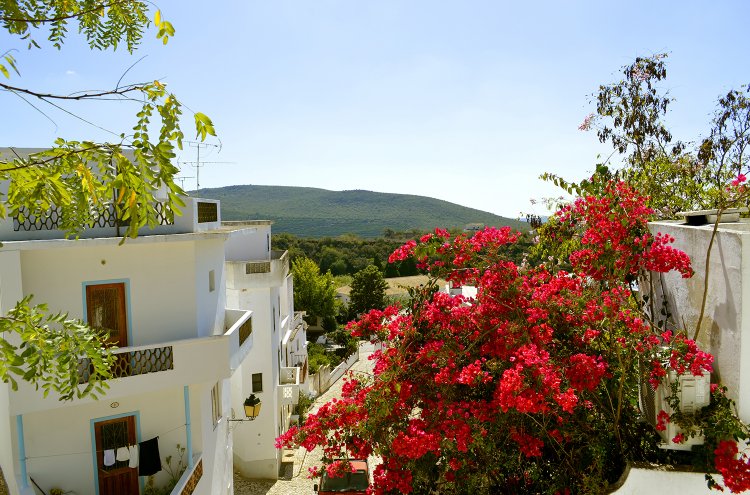 ¡Lujo 5* en Hotel Monchique Resort con SPA (Algarve, Portugal)! - Destino