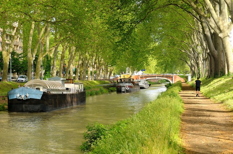 ¡La Navidad llega a La Ville Rose! ¿Te escapas a Toulouse? - Destino