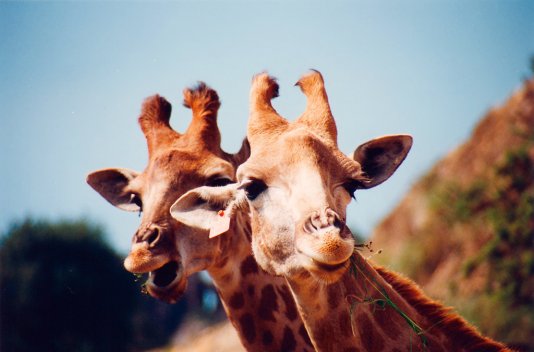 ¡Fin de Semana con Parque de Naturaleza Cabárceno! - Destino