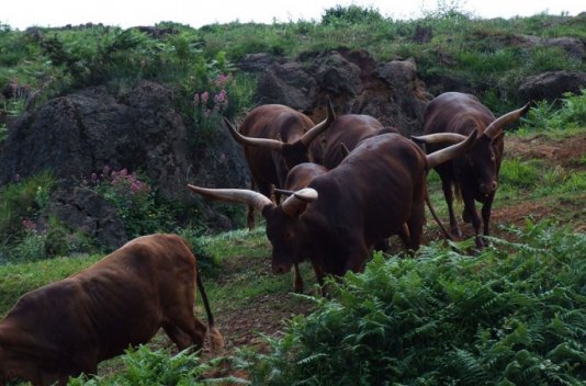 ¡Fin de Semana con Parque de Naturaleza Cabárceno! - Destino
