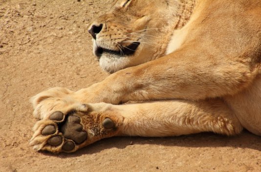 ¡Fin de Semana con Parque de Naturaleza Cabárceno! - Destino