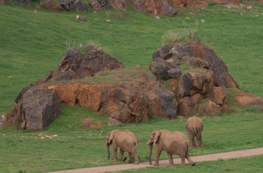 ¡Fin de Semana con Parque de Naturaleza Cabárceno! - Destino