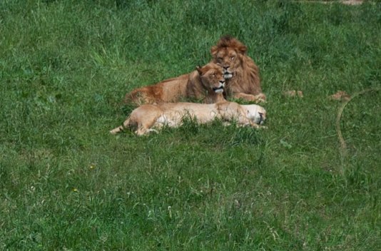 ¡Fin de Semana con Parque de Naturaleza Cabárceno! - Destino