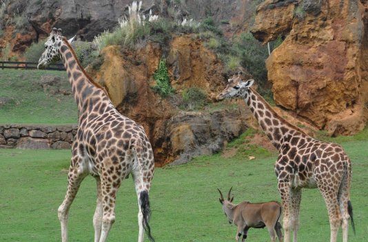 ¡Fin de Semana con Parque de Naturaleza Cabárceno! - Destino