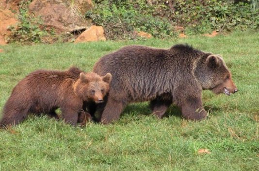 ¡Fin de Semana con Parque de Naturaleza Cabárceno! - Destino