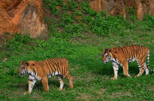 ¡Fin de Semana con Parque de Naturaleza Cabárceno! - Destino