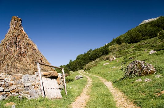 Picos de Europa: ¡Gastronomía y Trekking! - Destino