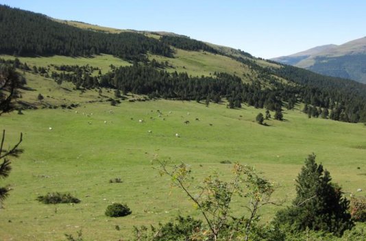 Escapada con spa en Rialp (Pirineo catalán) - Destino