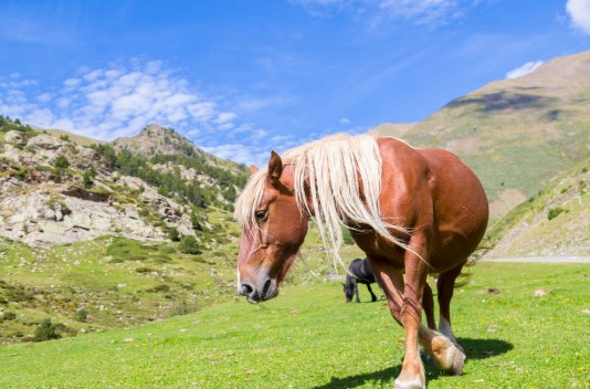 Escapada con spa en Rialp (Pirineo catalán) - Destino