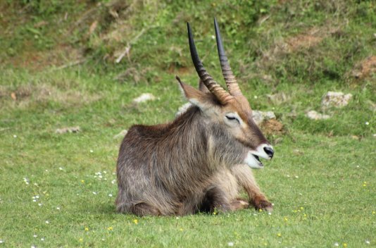 Cantabria con entrada al Parque de Cabárceno - Destino