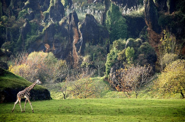 Cantabria con entrada al Parque de Cabárceno - Destino